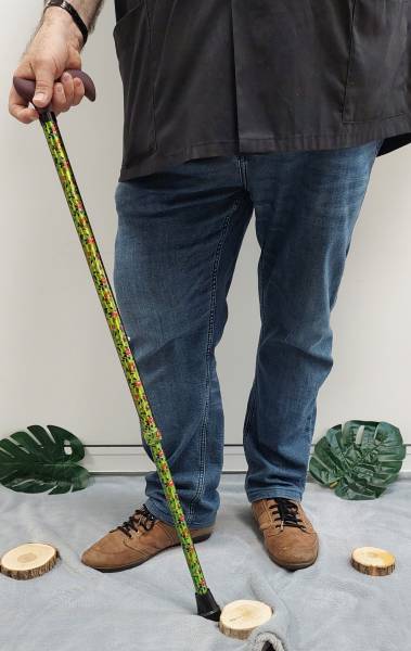 Cannes de marche à Toulouse