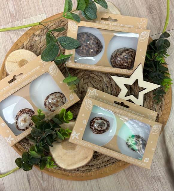 Les coquillages d'allaitement à la Pharmacie des Arènes de Toulouse