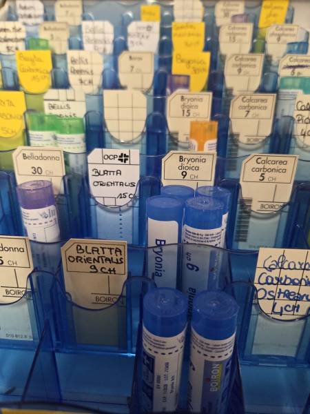 Expertise en homéopathie à Toulouse : conseils personnalisés et accompagnement par votre équipe spécialisée à Toulouse