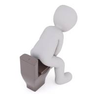 Nos prestations sur le secteur de proche Muret (31600)